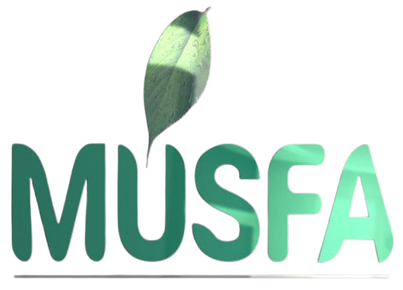 WhatsApp_Image_2025-11-04_at_11.14.58_AM-removebg-preview